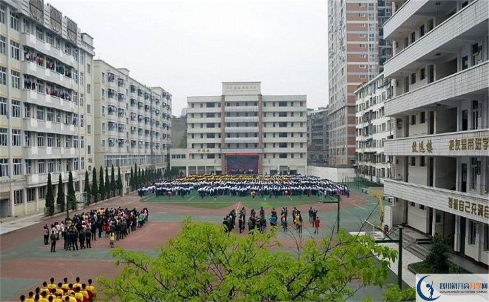 阳安中学的高一分班吗？