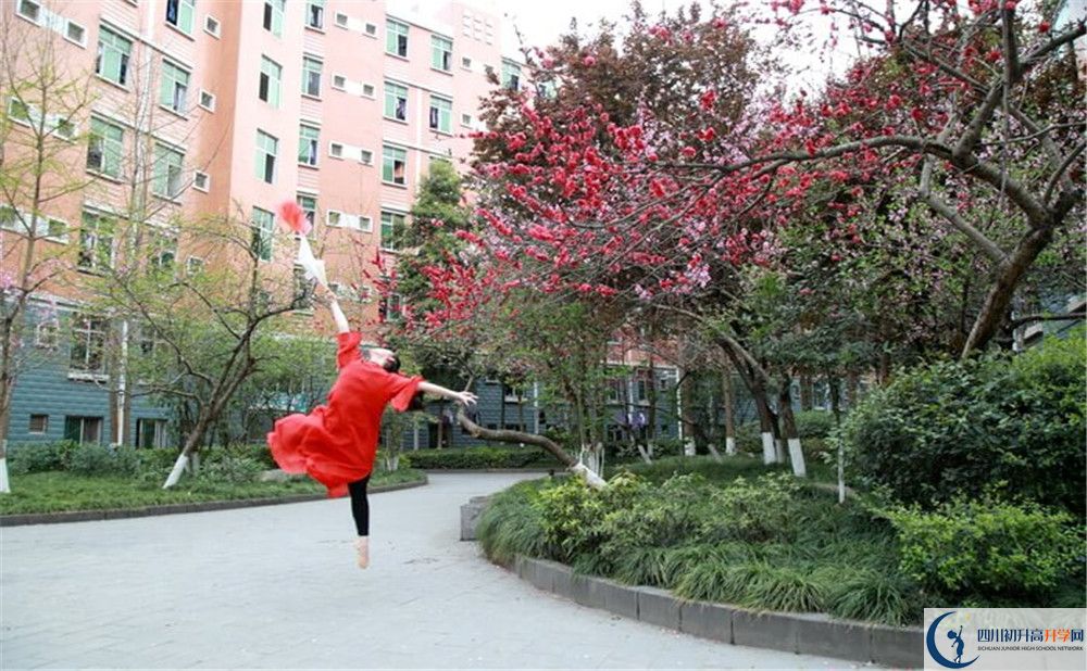 简阳中学的地址在哪里