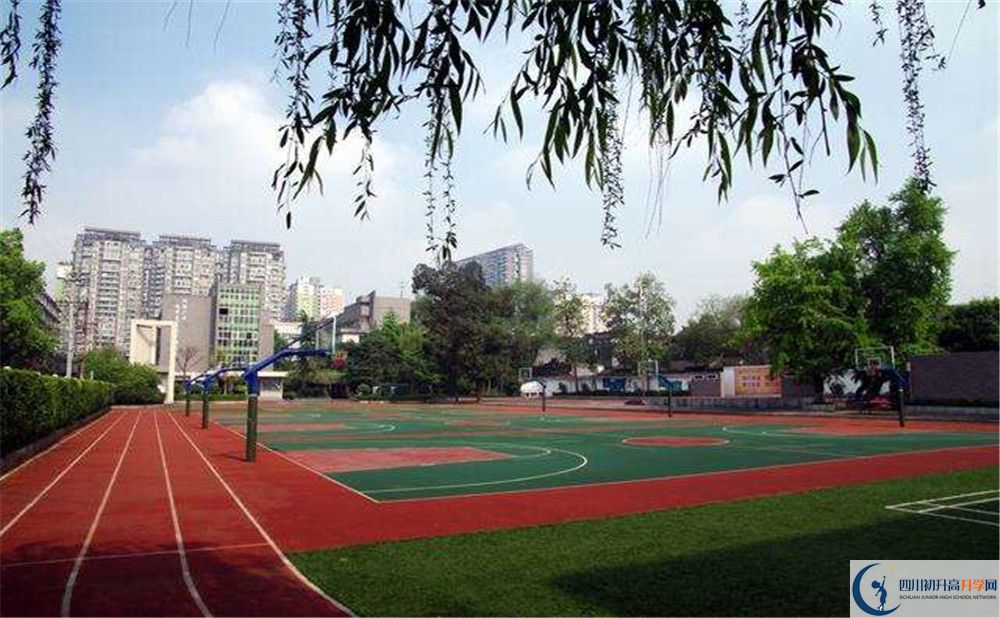 成都树德协进中学高一多久放一次假？