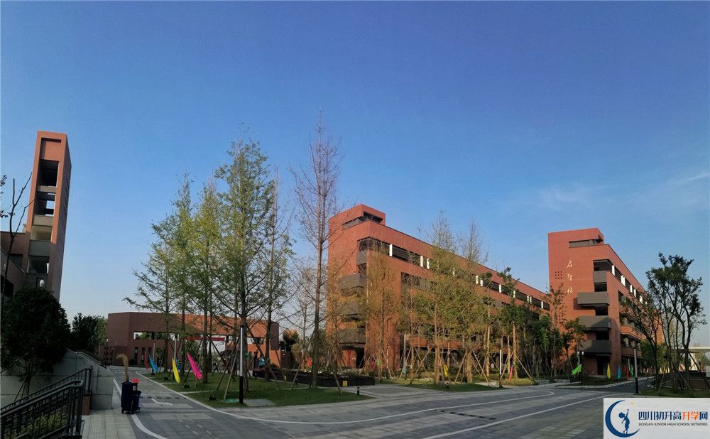 电子科技大学实验中学高一多久放一次假？