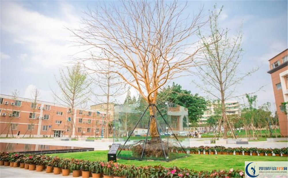 新格林艺术高级中学校2020年清华北大录取学生有多少？