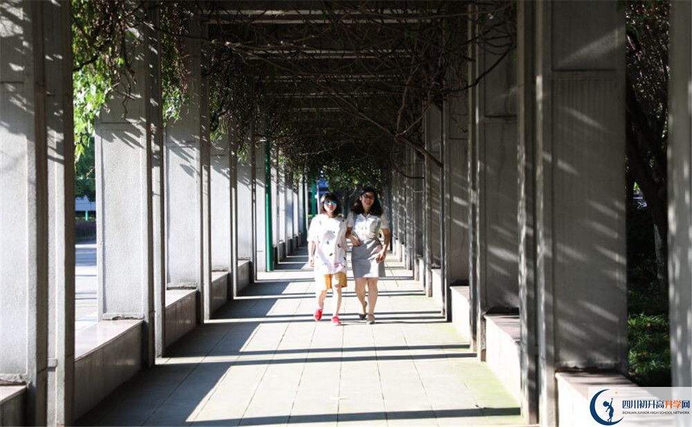 成都市龙泉中学2020年清华北大人数是多少？