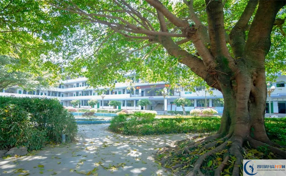 养马中学2020年高一入学考试时间是多久？