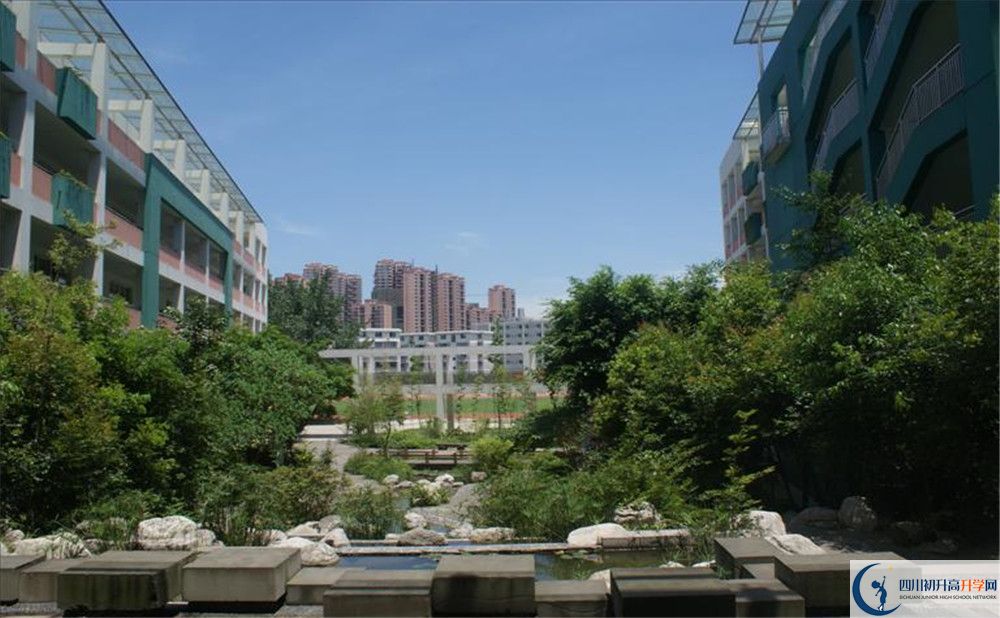 四川师范大学实验外国语学校2020年保送清华北大的人数？
