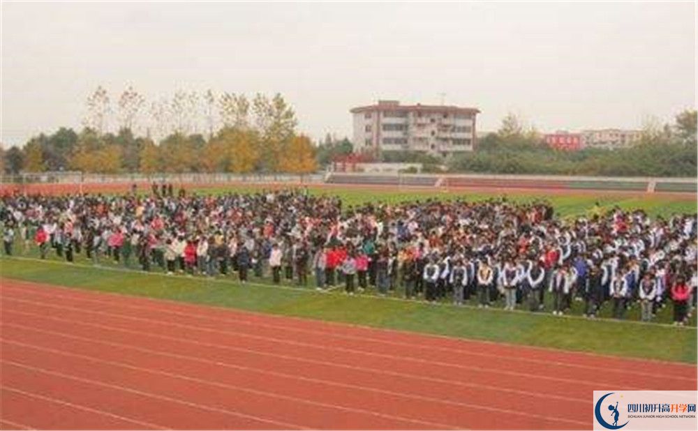 timg (8).jpg