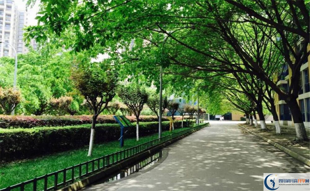 成都七中实验学校自主招生条件是什么？