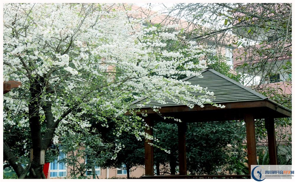 强项实验中学2020高一开学时间是多久？