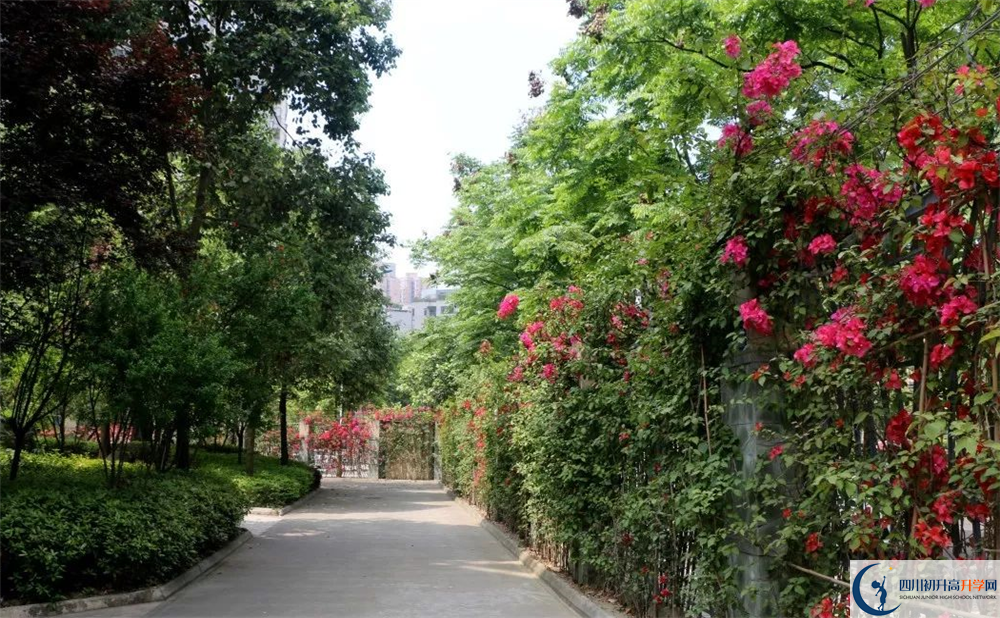 成都市第三中学平行班与实验班差多少？