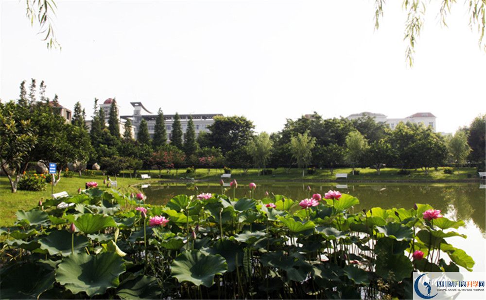 四川师范大学附属第三实验中学是私立还是公立学校？