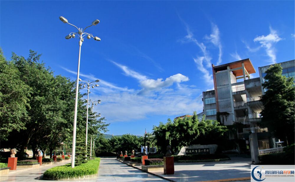 成都市龙泉中学是私立收费吗?