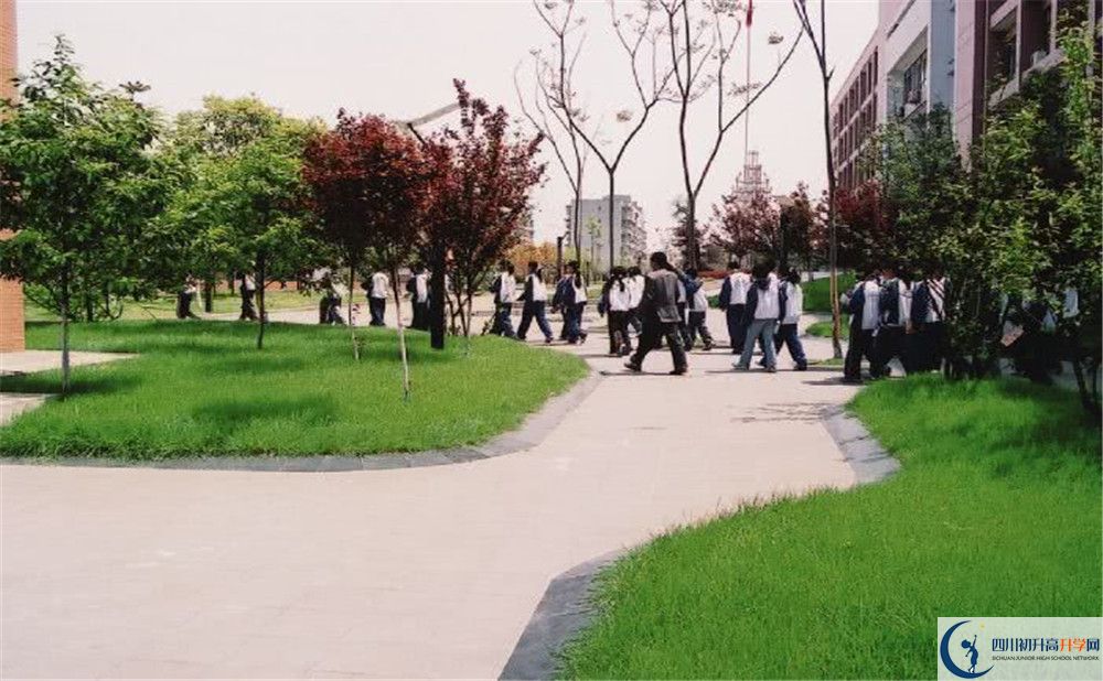 双流中学实验学校2020年高三文综测试题哪看？
