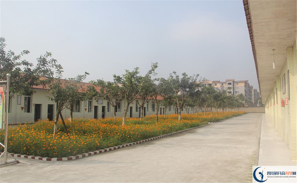 强项实验中学在全国高中排名多少？