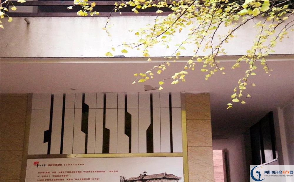 2020四川师范大学附属第三实验中学初升高分班考试题难吗？
