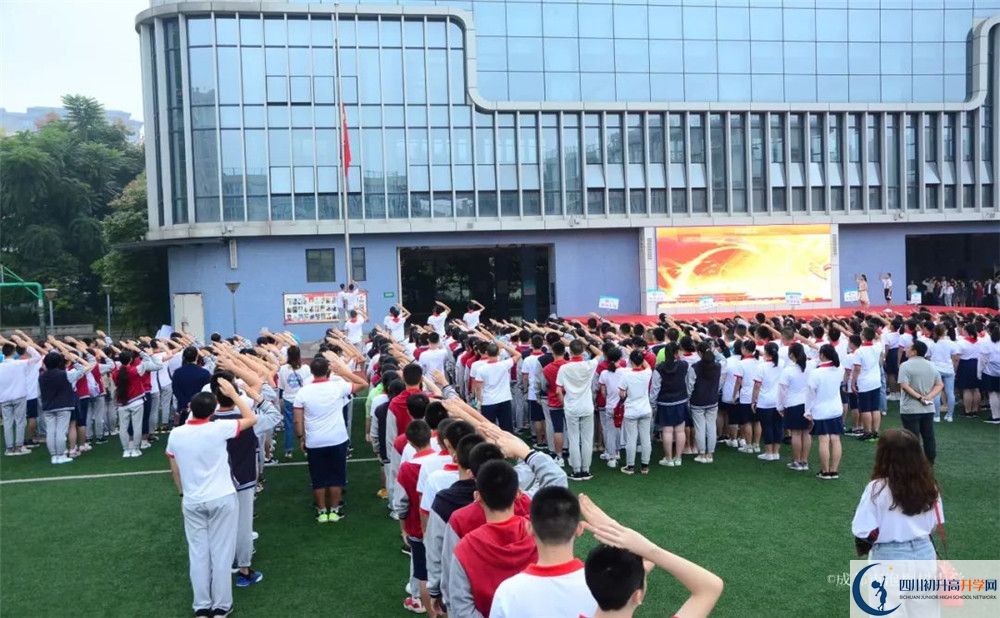 泡桐树6.jpg