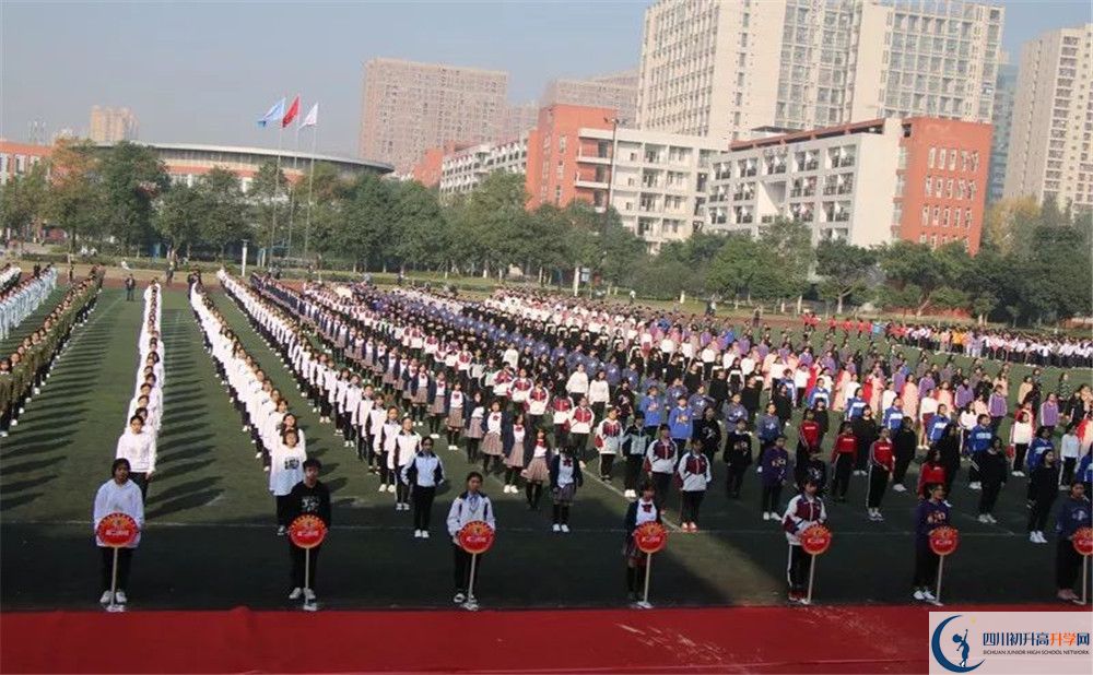 2020香城中学平行班升学率是多少？