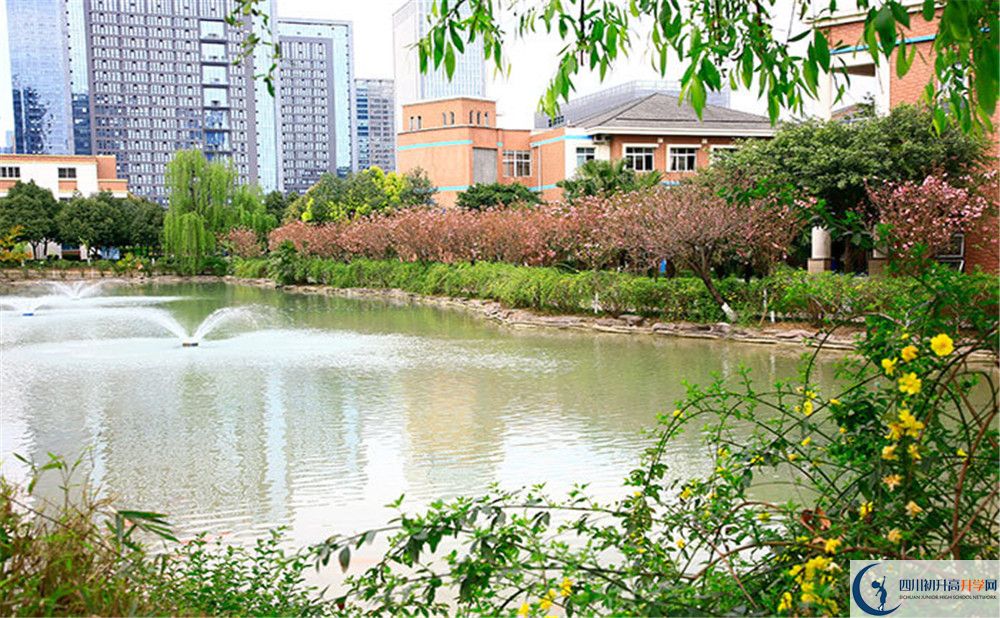 成都市西北中学2020年班级设置