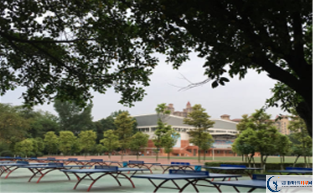 三原外国语学校高三诊断考试时间怎么安排？