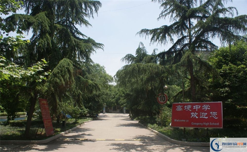 高埂中学高三诊断考试时间怎么安排？