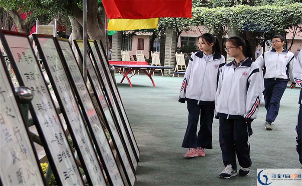 2020年成都市第四十九中学自主招生考试时间是否有调整？