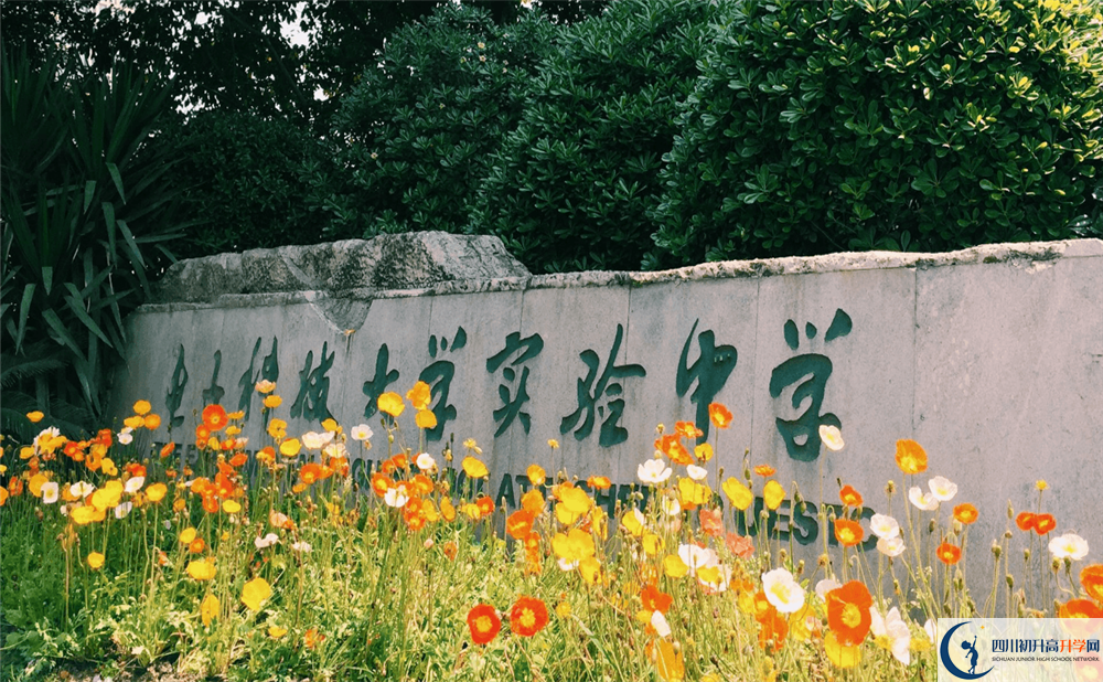 电子科技大学实验中学今年的学费怎么收取，是否有变化？