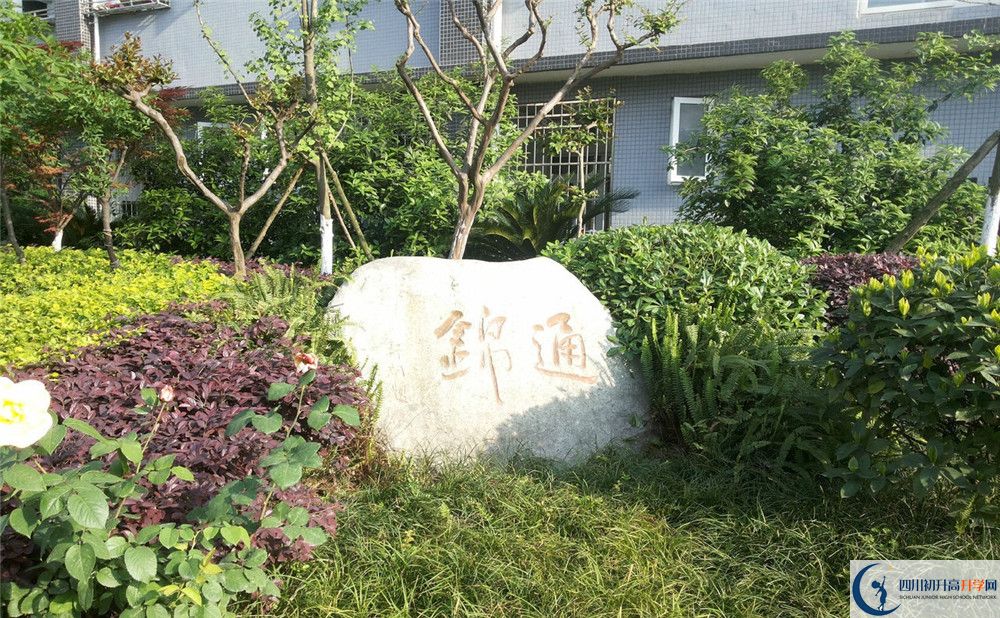 2020年通锦中学自主招生考试时间是否有调整？
