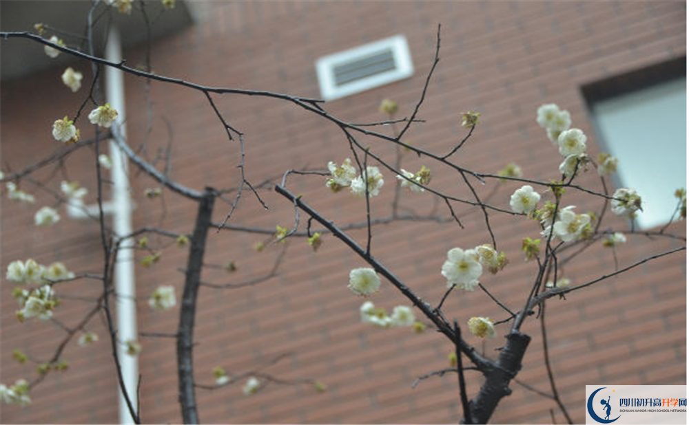 成都市籍田中学2020年自主招生考试时间是否有调整？