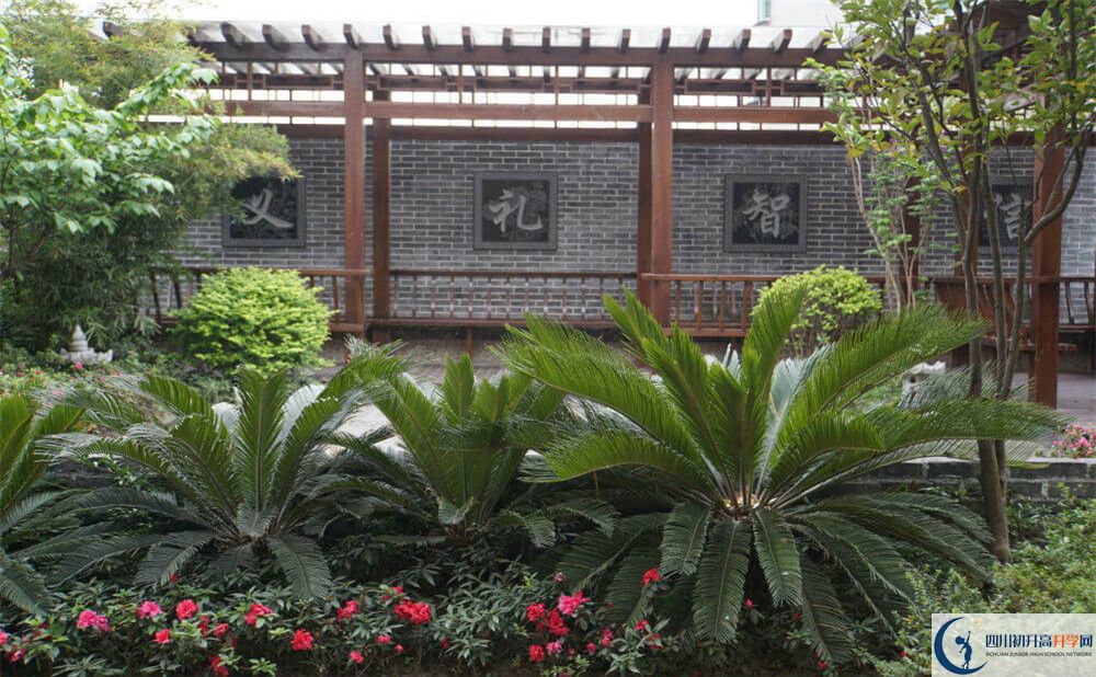 2020成都八中考自主招生条件是什么，有何变化？