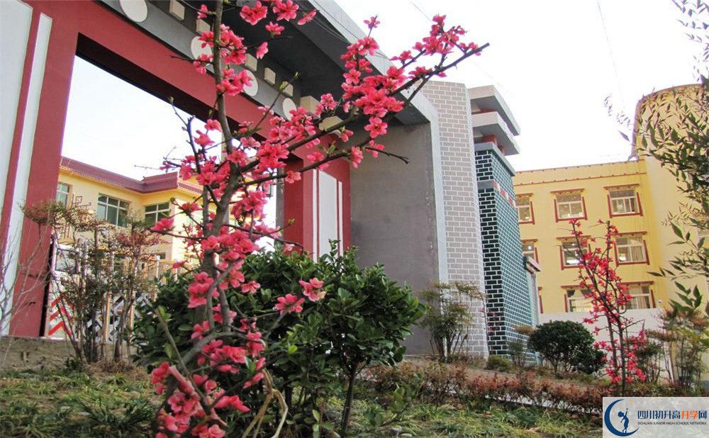金川中学今年的录取条件是否有变化？