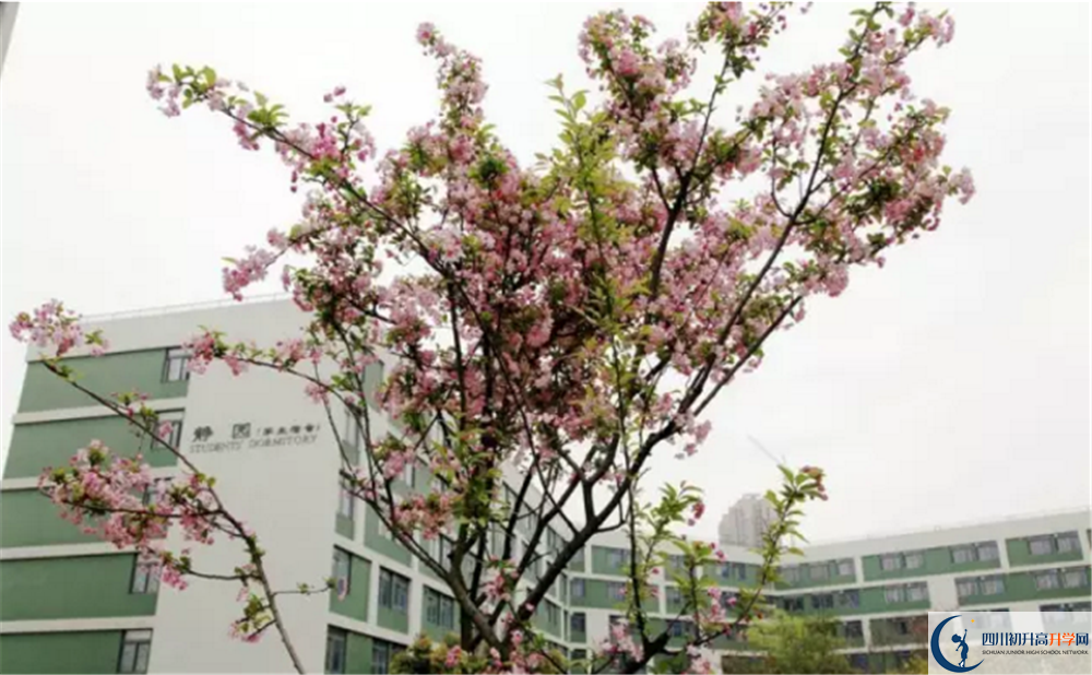 四川师范大学实验外国语学校高中部怎么样？