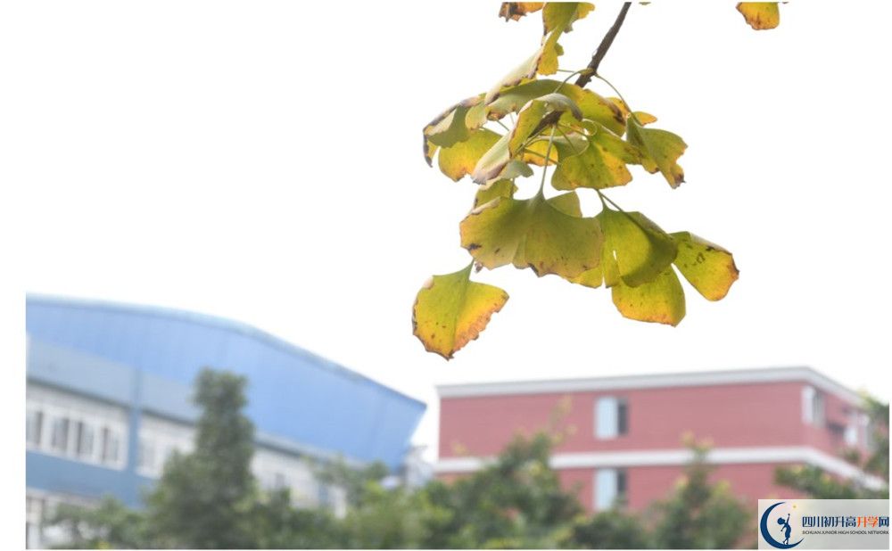 四川师范大学实验外国语办学特色是什么？