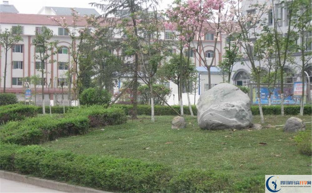 大英县育才中学2020年报名考试时间是否有调整