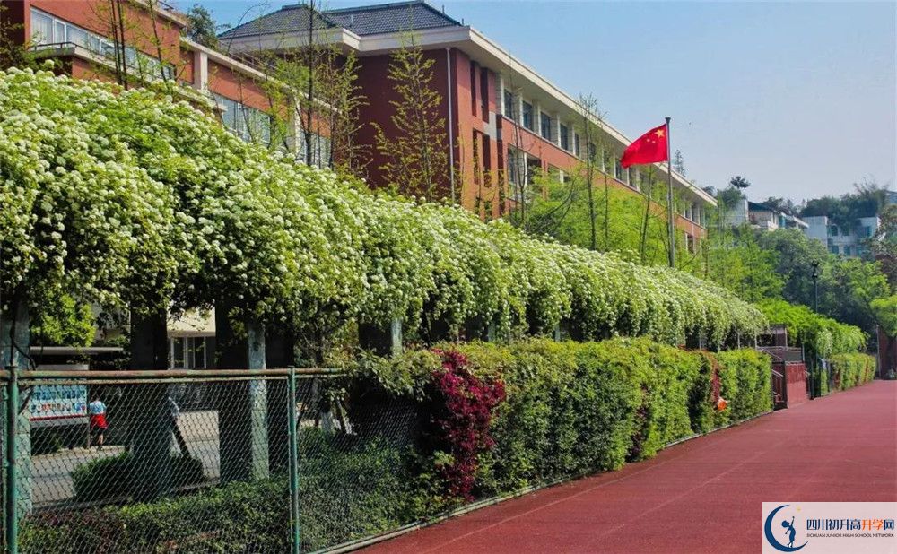 成都七中八一学校怎么样？