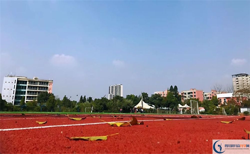 青苗国际双语学校成都校区2020年师资怎么样？