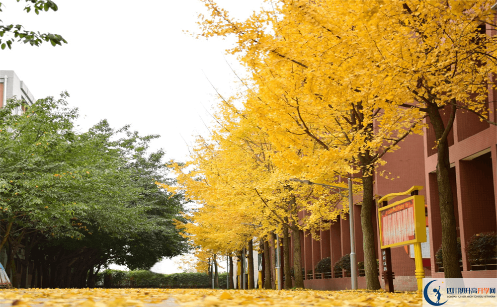 电子科技大学实验中学2020年地址在哪？