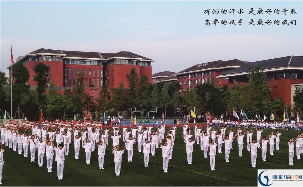 成都七中高新校区2020年招生范围有多大？