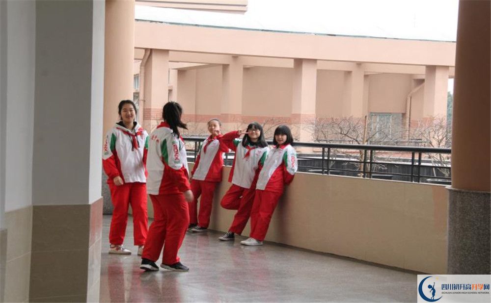 2020年成都树德中学博瑞实验学校好进吗？