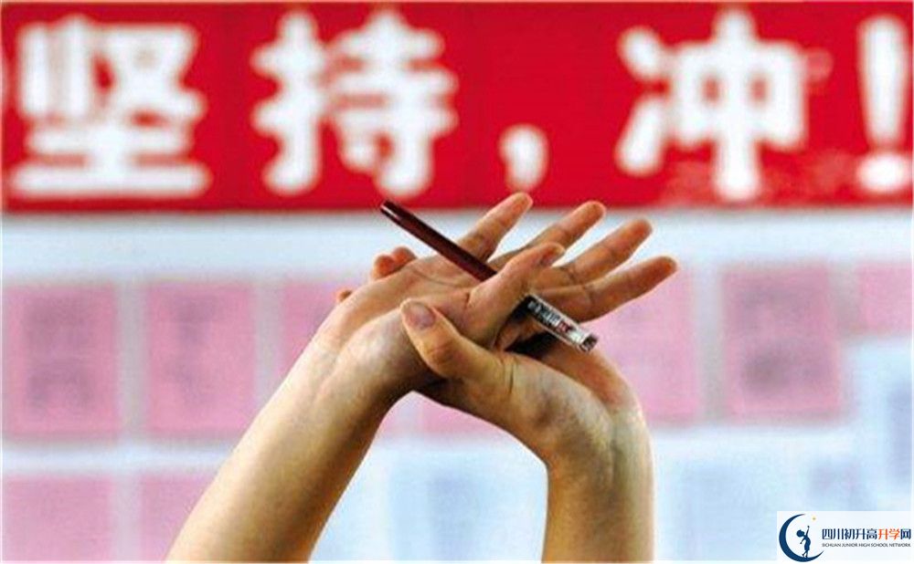 2022年遂宁市射洪绿然国际学校学费是多少？