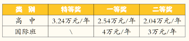 2023年成都市成都棠湖外国语学校有没有奖学金，政策是什么