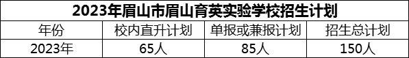 2024年眉山市眉山育英实验学校招生计划是多少？