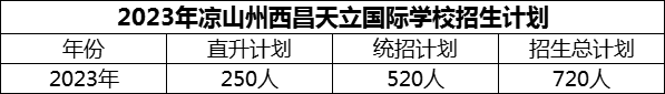 2024年凉山州西昌天立国际学校招生计划是多少？