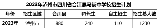 2024年泸州市四川省合江县马街中学校招生计划是多少？