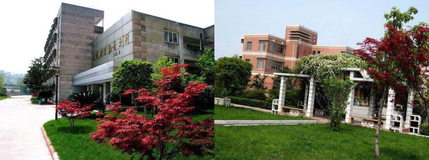 四川省科学城第一中学-中考报名-绵阳初升高升学网