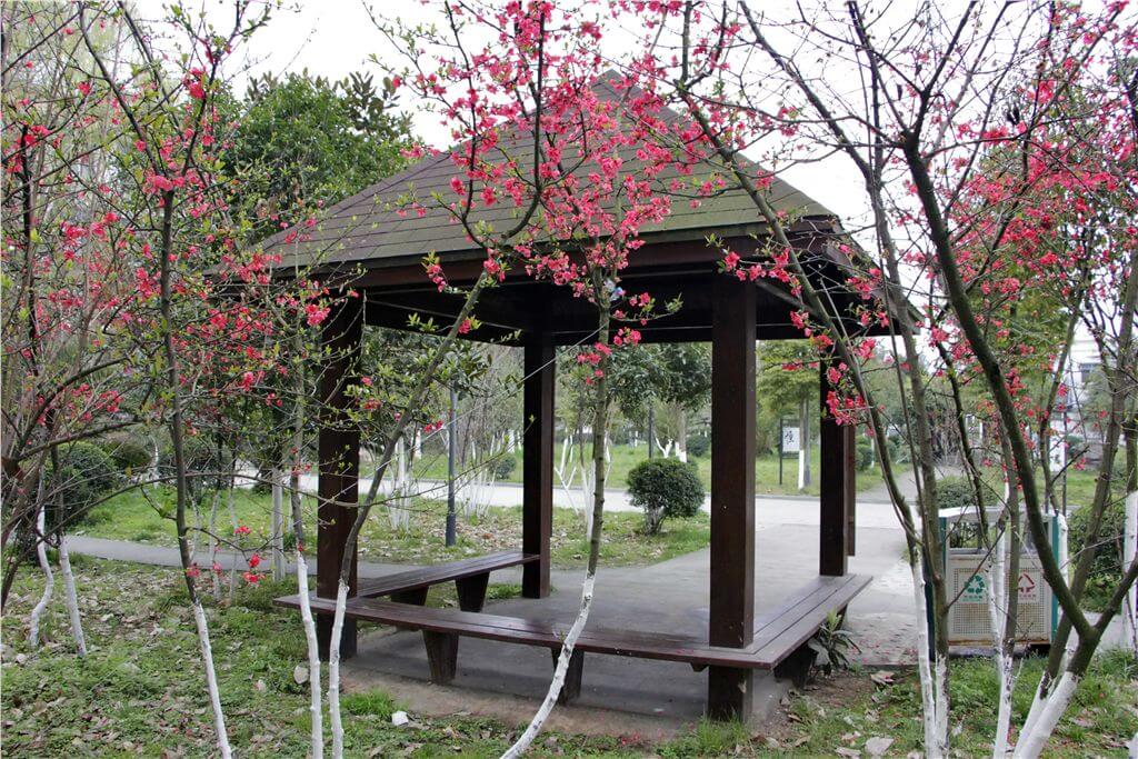 绵阳市秀水中学校园风采