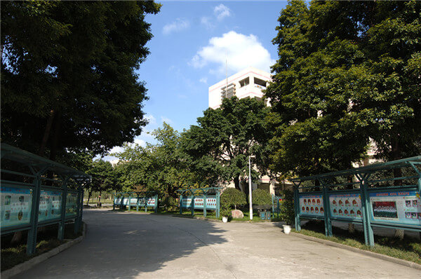 温江二中院校环境