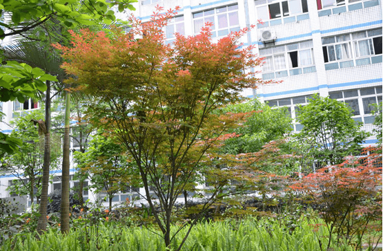筠连县中学教育改革