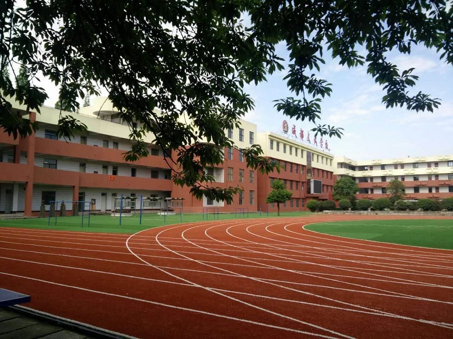 成都文武学校2020年中考录取分数线是多少？