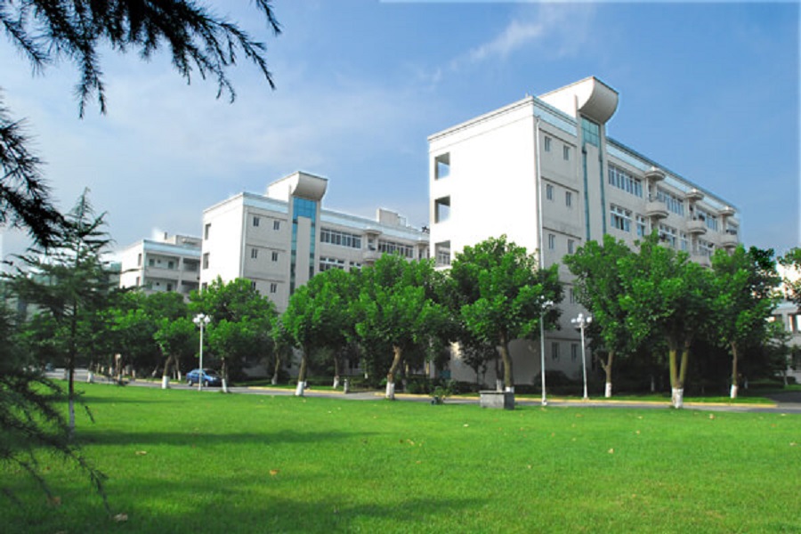 棠湖外国语学校近几年中考录取分数线是多少？