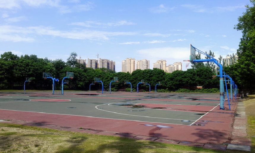成都实验外国语学校（西区）网址是什么？