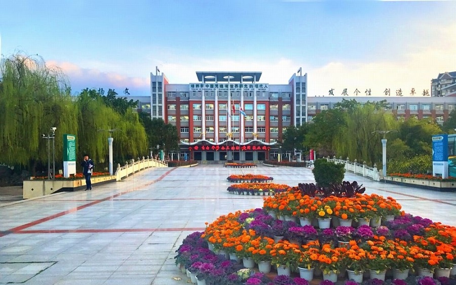 绵阳东辰学校官网网址是什么？