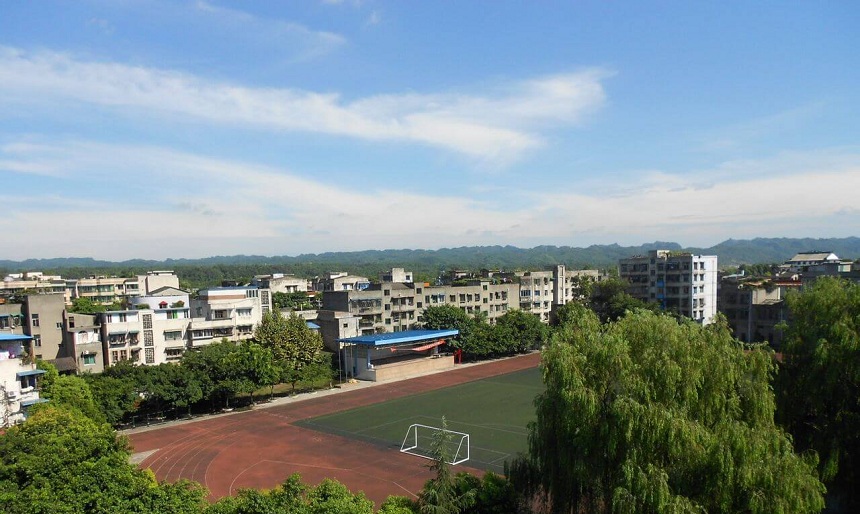 青神中学是公办还是民办？